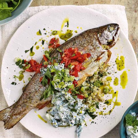 Kashmiri Trout
